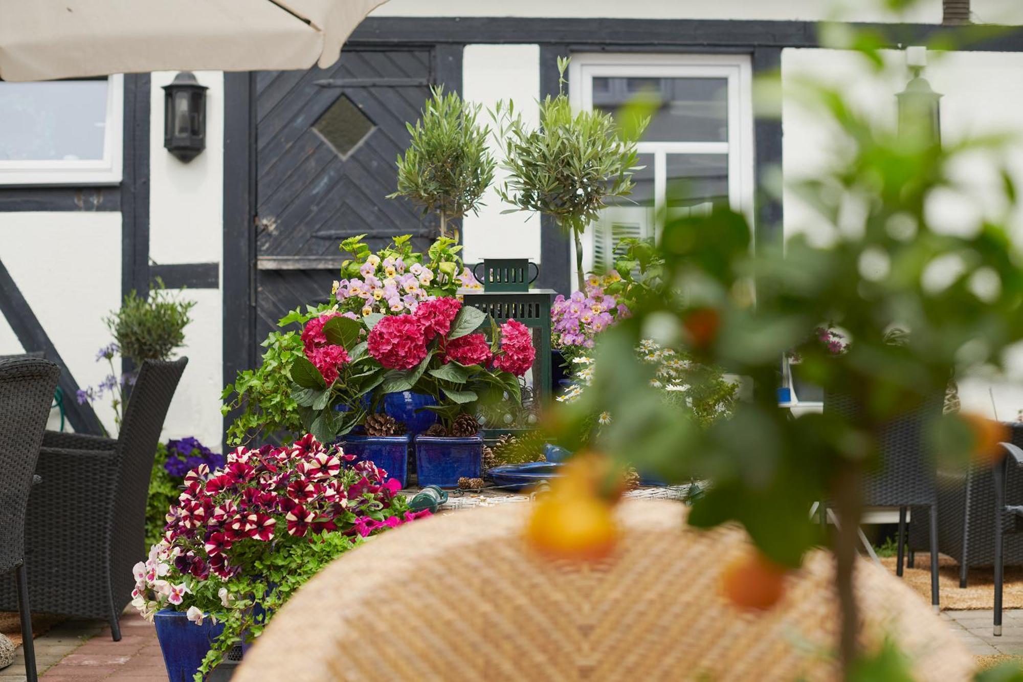 Hotell Baeckagarden Ystad Esterno foto