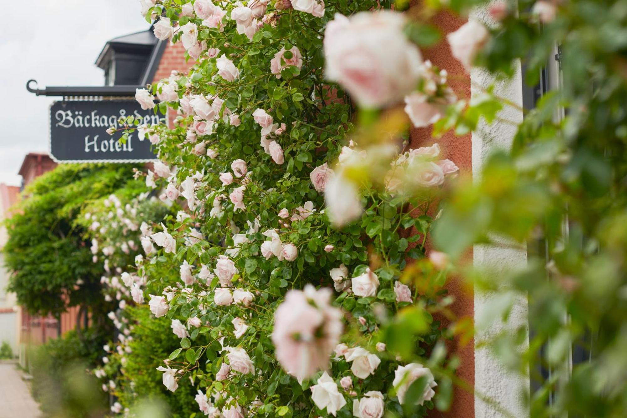 Hotell Baeckagarden Ystad Esterno foto
